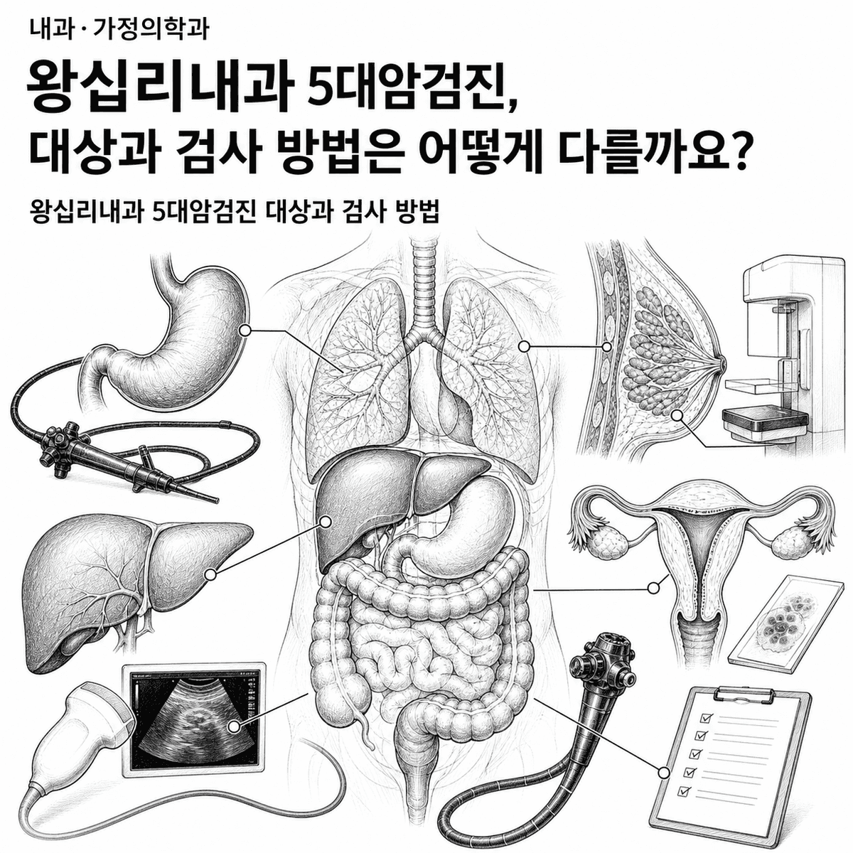 서울 왕십리내과 5대암검진, 대상과 검사 방법은 어떻게 다를까요 핵심 정보 이미지